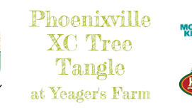 Phoenixville XC Tree Tangle at Yeager's Farm & Market