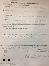 N your lab activity on inheritance and dna, station 5, you'll find a pedigree chart. Post Lab Homework Lab 3 Mendelian Genetics 1 Briefly Explain The Following Terms In Your Own Words Homeworklib