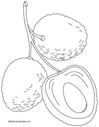 Delicious Juicy Red Lychee Coloring Page Download Free Delicious Juicy Red Lychee Coloring Page For Kids Best Coloring Pages Coloring Pages For Kids Lychee