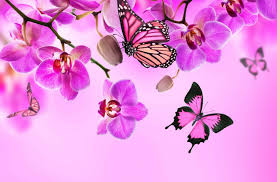 Pretty Butterfly Wallpapers Group 61 Absolutely stunning photo reproductions, but don't take our word for it, check the reviews,superior quality silver halide prints,archival quality paper,choose your finish: