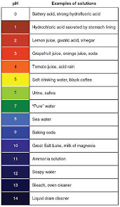 Understanding Your Hair Through Its Ph Level Morrocco Method