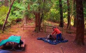 Lesen sie bewertungen und sehen sie fotos an. Chris Taylor Camping At Washington Park Anacortes 1 2 Travel Dads