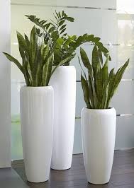 Moderne Hochwertige Pflanzvase Bodenvasen Pflanzen Vase