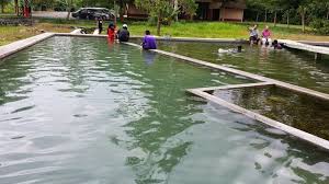 Kolam air panas selayang, batu 9 gombak; 5 Lokasi Kolam Air Panas Yang Patut Anda Kunjungi Di Sekitar Selangor Murai My