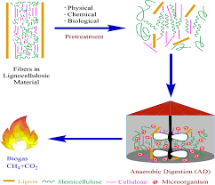 The methods of analysis, and shall certify that the sampling and analysis is representative of normal work cycles and expected. Pretreatment Methods Of Lignocellulosic Biomass For Anaerobic Digestion Amb Express Full Text