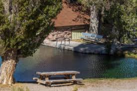 Image result for Little Catnip Spring - Sheldon Refuge Winnemucca NV