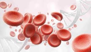 मनुष्य के शरीर में हीमोग्लोबिन (hemoglobin) कितना होना चाहिए - MyHealth