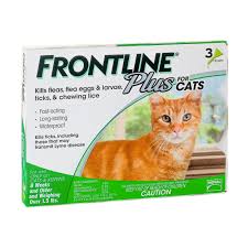 Frontline Plus For Cats And Kittens 1 5 Lbs And Over Flea