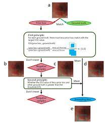 Identification Of Early Cancerous Lesion Of Esophagus With Endoscopic Images By Convolutional Neural Network