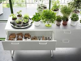 Mezclar bulbos, helechos, enredaderas y. 20 Rincones Con Plantas Dentro De Casa Plantas De Interior