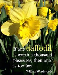 Daffodils Daffodils Flowers Garden Quotes