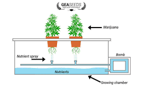 High pressure aeroponics system design. Aeroponic System What Is It And How Is It Mounted