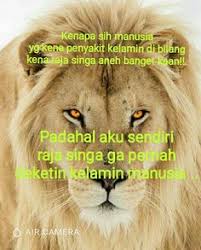 The cast of singa raja includes manoj,varsha. Tesywiguno Tesywiguno Profile Pinterest