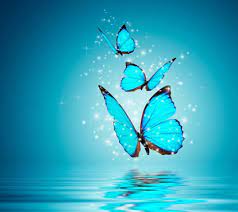 Use this image show nature existing in harmony. Beautiful Whatsapp Dp Yahoo Image Search Results Butterfly Wallpaper Blue Butterfly Wallpaper Blue Butterfly