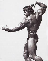 When he hit a side chest pose, his pecs arched so high that a glass of water could rest atop them. Arnold Schwarzenegger Signature Pose