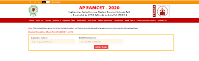 Computer science a section ii. Ap Eamcet Answer Key 2021 Soon Download Question Papers Raise Objections