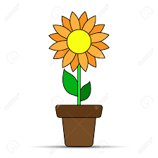 You don't have to be a potter to make them, either. Orange Flower In A Flower Pot Simple Drawing Royalty Free Cliparts Vectors And Stock Illustration Image 126785913