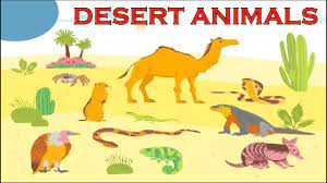Desert Animals Class 6 English Honeysuckle Chapter 9 Animated Video In Hindi Full Explanation Youtube