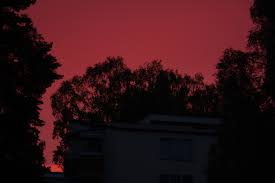 Check spelling or type a new query. How To Avoid The Grainy Background In Sunset Picture Photography Stack Exchange