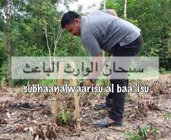 Menurutnya jangan salahkan sesiapa jika pokok yang ditanam tidak berbuah langsung. Jangan Marah Pokok Kalau Tanam Tak Berbuah Ini Doanya Untuk Tumbuh Subur Beri Hasil Lumayan Kashoorga