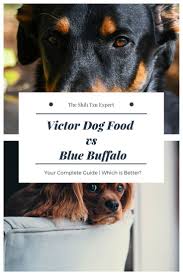 Victor Dog Food Vs Blue Buffalo Your Complete Guide In 2020 Dog Food Recipes Blue Buffalo Dogs