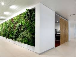 The interior is lined with plywood and that. Office Garden Walls In White Interior Office Space Property Manager Insider