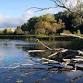 Fall Hike - Saturday October 25 event image