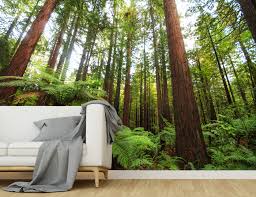 Realistic games game gui wood games i love games game ui design game interface video game art deviantart illustration styles. Rotorua Redwoods Wall Mural Your Decal Shop Nz Designer Wall Art Decals Wall Stickers Wall Murals
