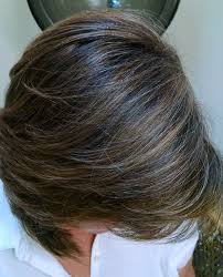 Image Result For Subtle Highlights For Dark Brown Hair To Cover Grey Blending Gray Hair Brunette Hair Color Highlights For Dark Brown Hair