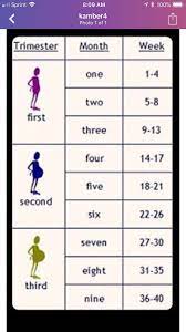 How Many Months Pregnant Am I At 23 Weeks February 2019 Babies Forums What To Expect A guide on pregnancy at 23 weeks with information on what to expect, baby development, and symptoms. february 2019 babies
