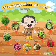 ฟร ส อการเร ยนการสอน ปฏ ท นปล กผ กตามฤด กาล