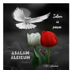 Birds Chirping In The Morning Islam Islamic Islam Plants Doves