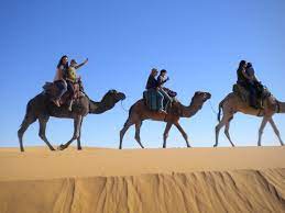 This allows them to face the challenge of desert travel. Quotes About Riding Camels 21 Quotes