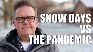 @brittlestar's video Tweet