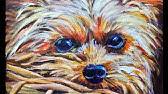 Original watercolor pet portraits from your photograph and description. Pet Portrait Watercolor Dog Tutorial How To Paint Fur Youtube
