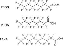 Pfoa and pfos have been the most extensively produced and studied of these chemicals. Pfos Pfna And Pfoa Sub Lethal Exposure To Embryonic Zebrafish Have Different Toxicity Profiles In Terms Of Morphometrics Behavior And Gene Expression Sciencedirect