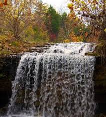 You'll start off in semi urban neighborhood with a large parking lot. Tanyard Creek Nature Trail Bella Vista Ticket Price Timings Address Triphobo