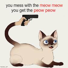 Checkout high quality 1080x2340 anime wallpapers for android, pc & mac, laptop, smartphones, desktop and tablets with different resolutions. Cat Memes Are The Best Memes Thearcana