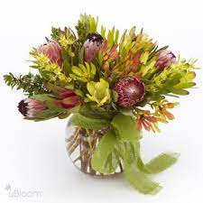 Protea Paradise Scent Violet Flowers And Gifts Houston Tx Same Day Flower Delivery Flower Delivery Protea Flower