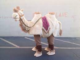 Download script here if you haven't yet. Pin On Camel Costumes