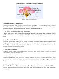 Setelah proses pembuahan, bunga akan semakin berkembang untuk lebih lanjut membentuk buah. 10 Bagian Bagian Bunga Dan Fungsinya