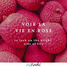 Full Lesson Examples Voir La Vie En Rose Lit To See Life In Pink To Look On The Bright Side Of Life Video Learn French French Language French Sentences