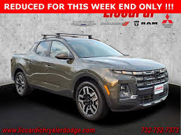 Image result for Rockwood Green 2025 Santa Cruz