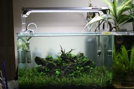 Acrylic Finnex Light Risers Aquatic Plant Central