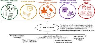 I forgot to say this in the video b. Obsessive Compulsive Disorder Puzzles And Prospects Sciencedirect