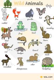 Learn Animals Vocabulary In English Eslbuzz Learning English Animals Name In English English Vocabulary List Of Animals