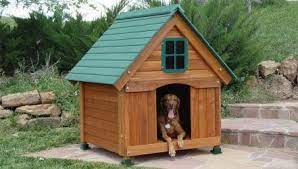 kak sdelat budku dlya sobaki svoimi rukami ustrojstvo zhilisha vo dvore i v kvartire chertezhi razmery i originalnye idei 55 dog houses bird house dog house