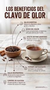 🌿✨ Este es mi ELIXIR DE CLAVOS parece simple… pero es poderoso Agua + clavos de olor y un poquito de paciencia 😏 Este elixir se deja reposar entre 8 y 15