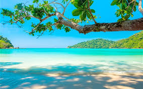 Papeis De Parede Lindo Mar Praia Arvore Tropical 5120x2880 Uhd 5k Imagem Veja diversos papéis de parede da série the 100 para você selecionar o melhor, salvar e colocar no seu aparelho celular ou mesmo no papéis de parede de girassol o girassol é uma planta muito linda… tropical 5120x2880 uhd 5k