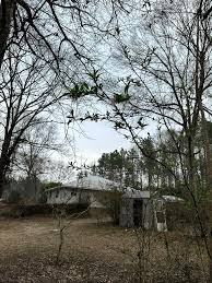 The hard work pays off 👍🏼🇺🇸😎🇺🇸